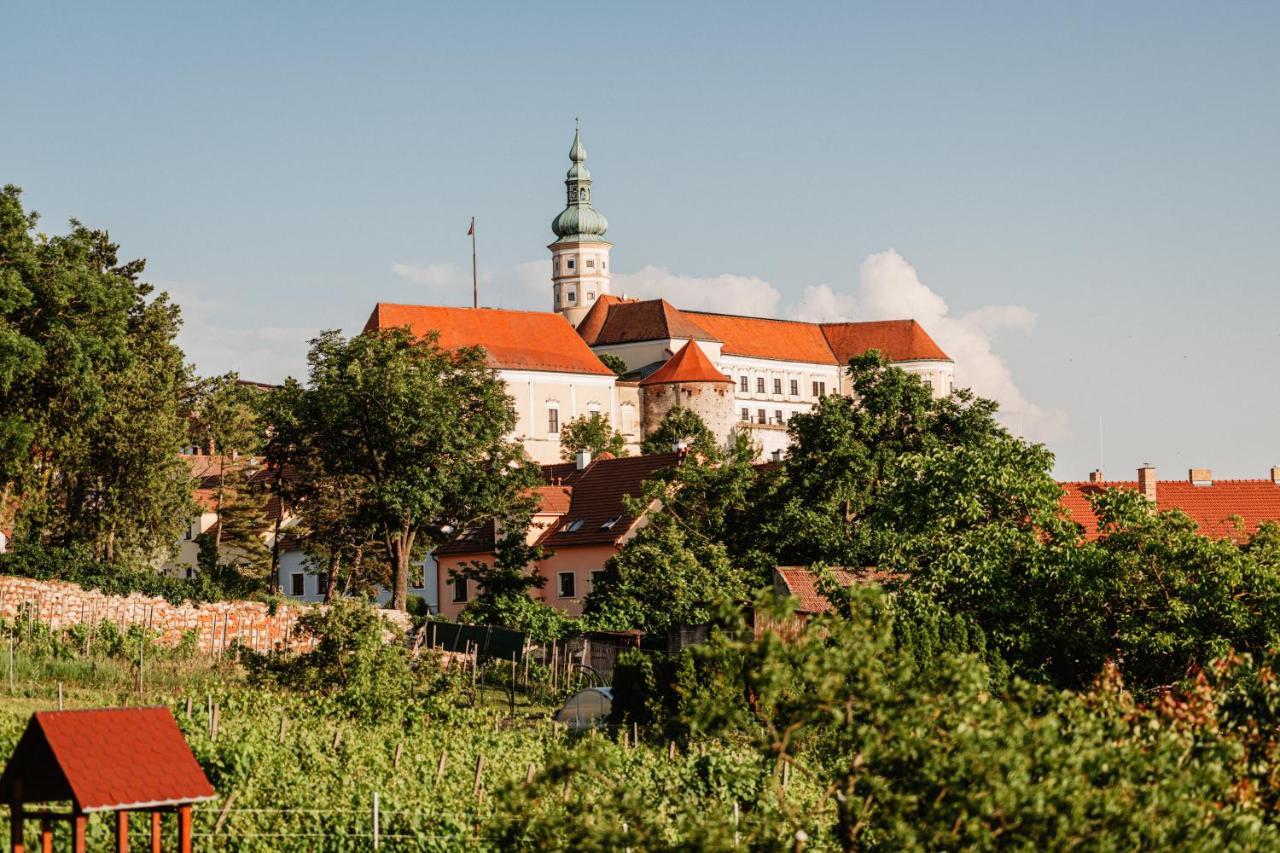Rezavy Mikulov